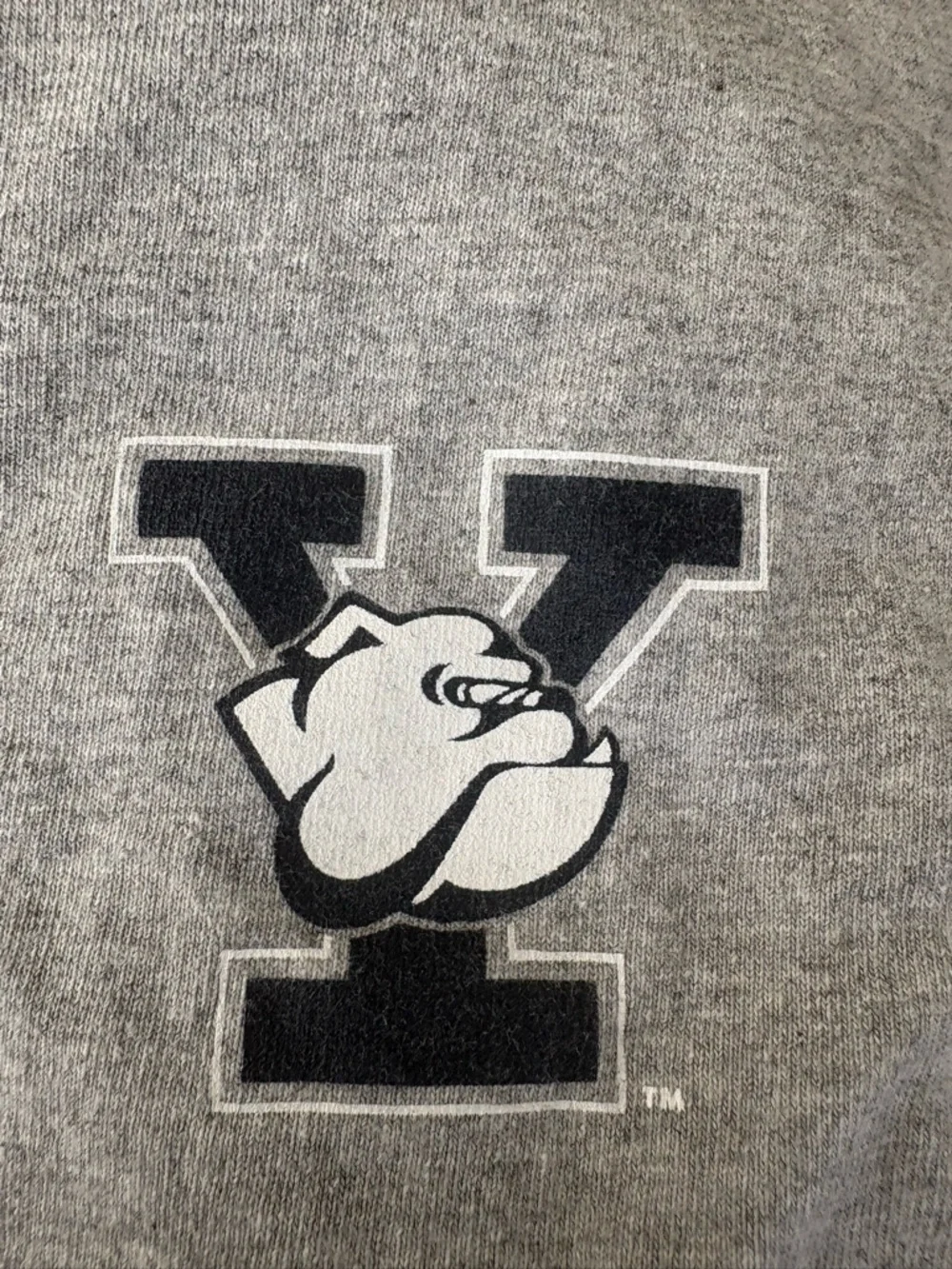 Champion Gray Yale Crew Short Sleeve Graphic Tee Large - Picture 3 of 8